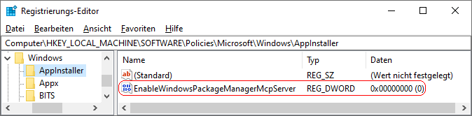 EnableWindowsPackageManagerMcpServer