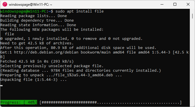 sudo apt install file