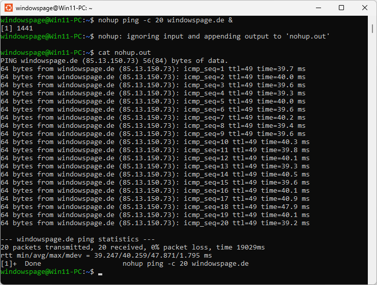 nohup ping -c 20 windowspage.de &